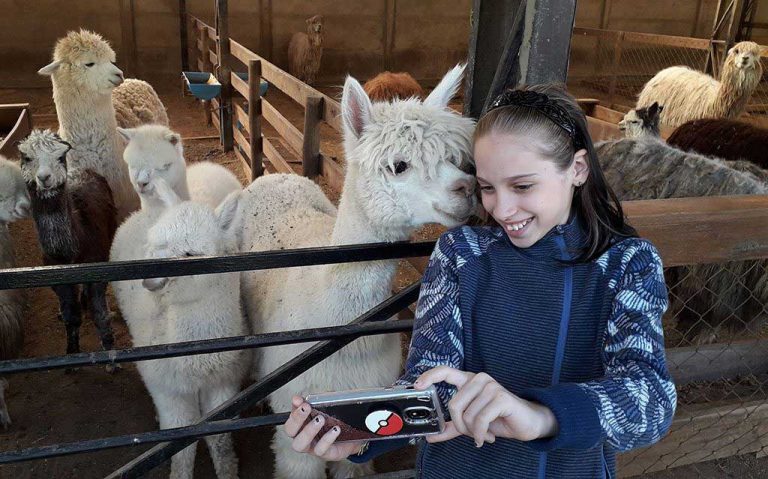 World Of Alpacas Tour | Chile Dream Tours | #1 Private Tours In Chile