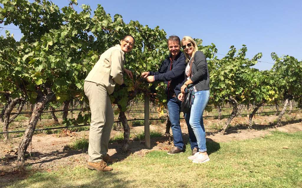 Winery tour at Aquitania Vineyard