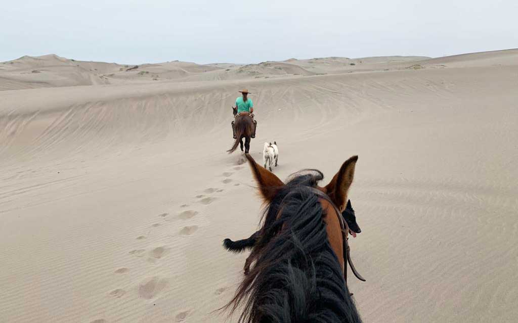 Horseback ride on Ritoque sand dunes