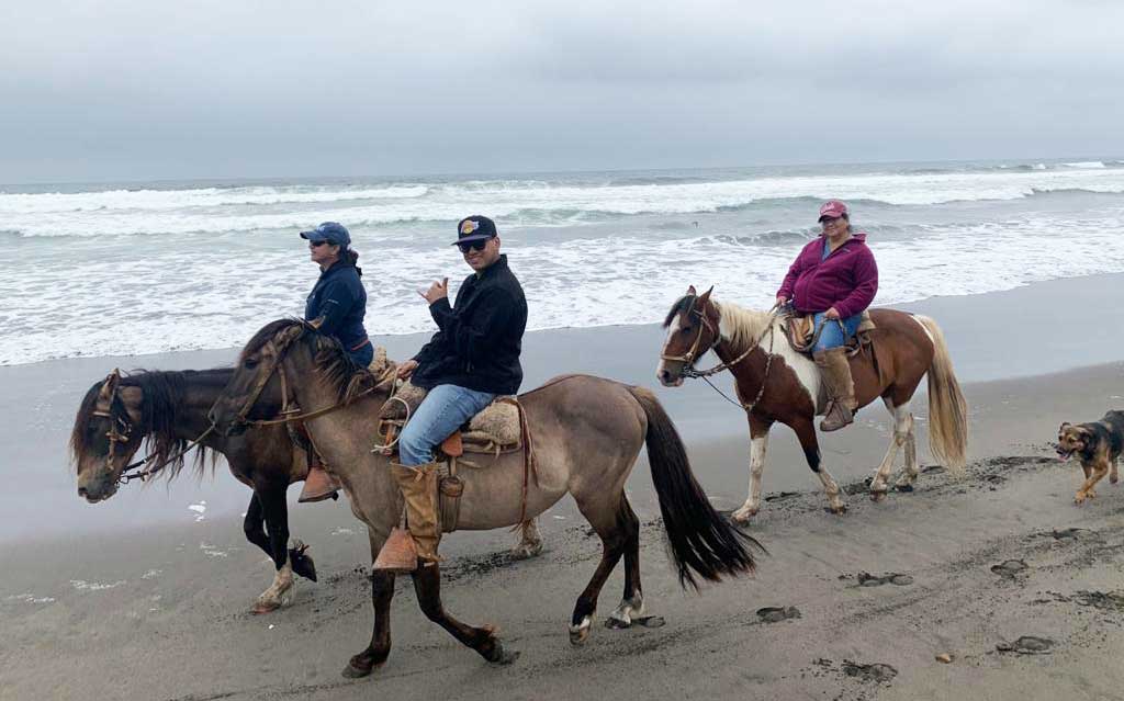 Beach horseback ride