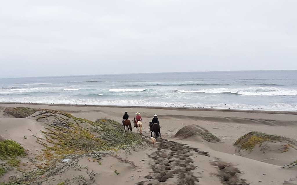 Approaching the Pacific Ocean on our beach and sand dunes horseback ride in Mantagua