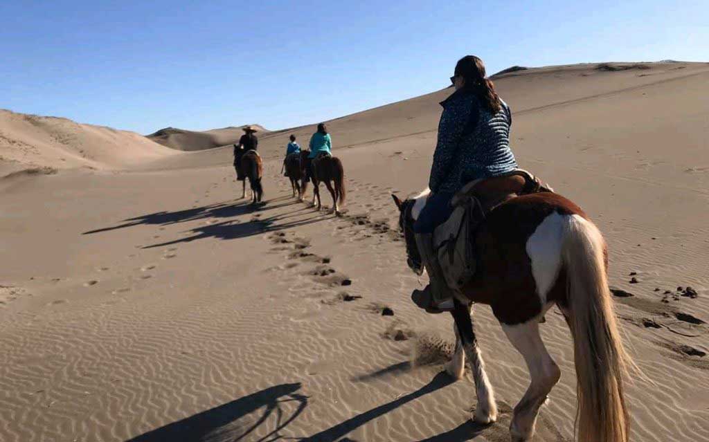 Peaceful horseback ride on sand dunes in Mantagua