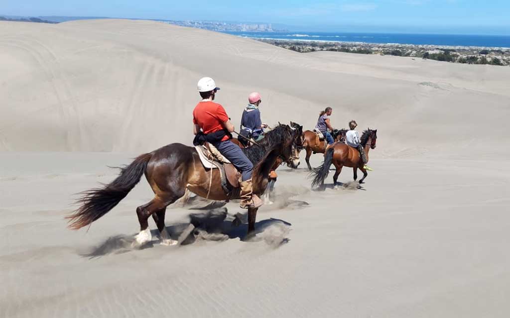 Galloping on the sand dunes in Mantagua