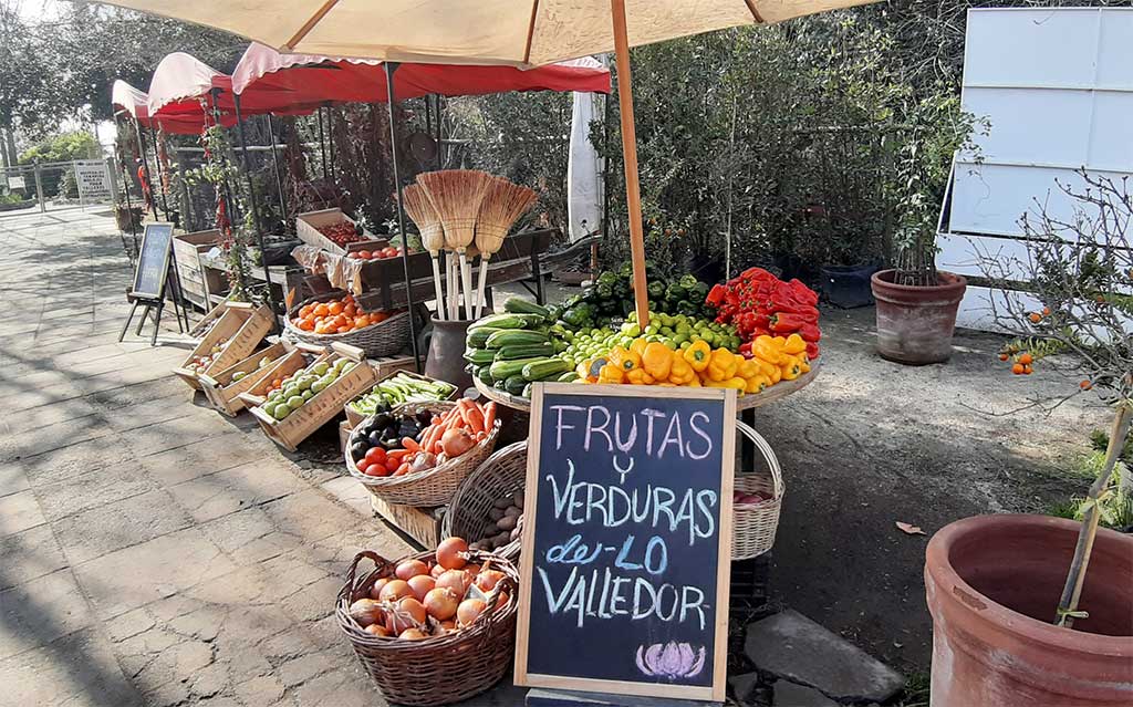 Fruits and vegetables at Mercado Origen Restaurant in Pirque