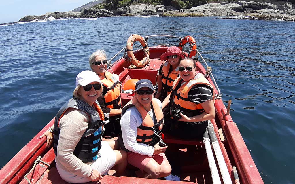 Exciting boat ride to spot penguins on Cachagua Island