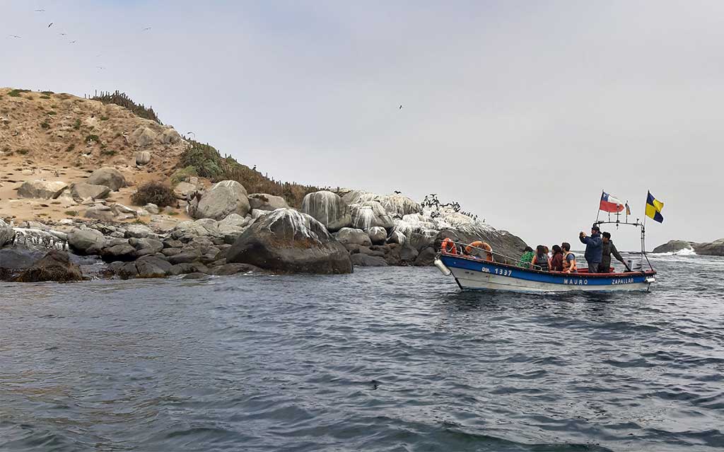 Boat ride around Penguin Island in Cachagua