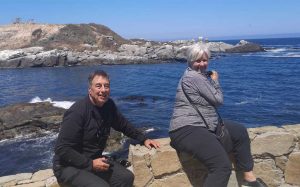 Spotting penguins on Cachagua Island from the shore