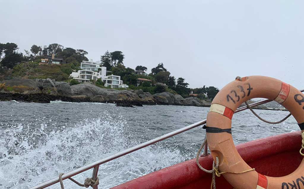 Boat ride to Penguin Island, Cachagua