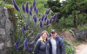 Flowers on walk along coast to Playa Las Cujas, Cachagua