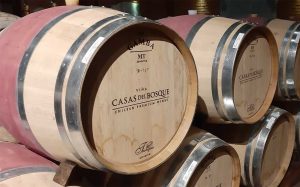 Wine barrels at Casas del Bosque Vineyard