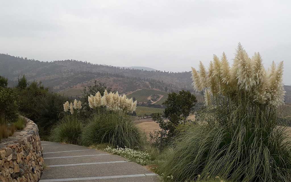 Path to wine shop at Matetic Vineyard