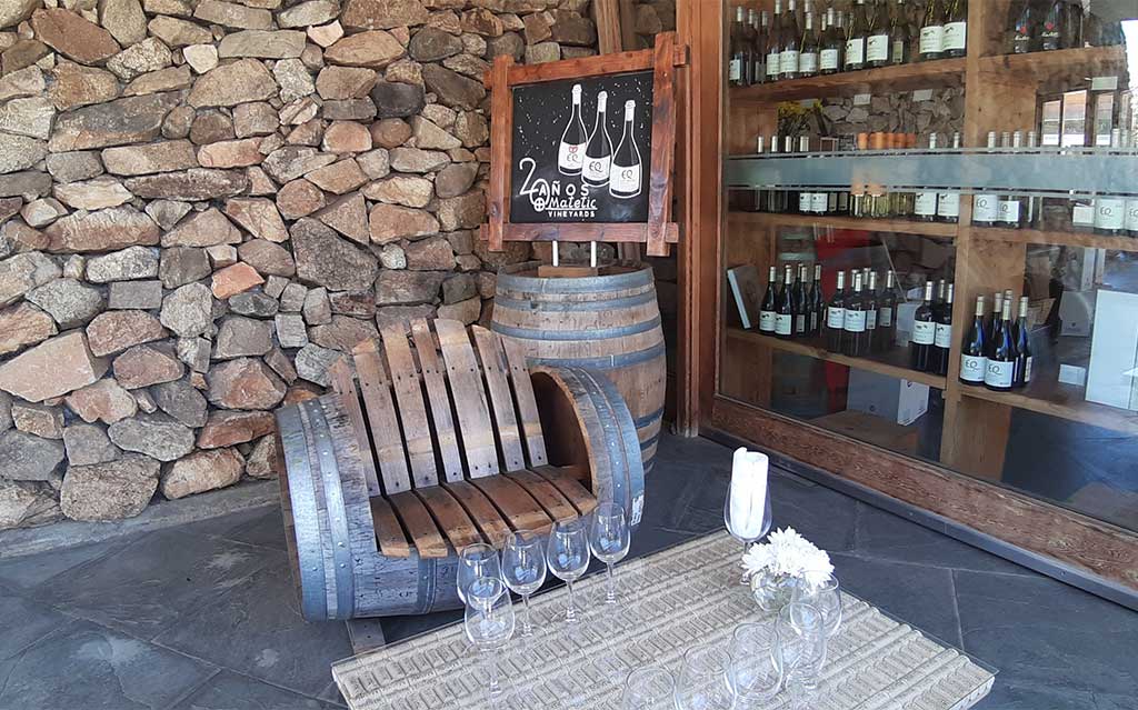 Wine tasting at Viña Matetic