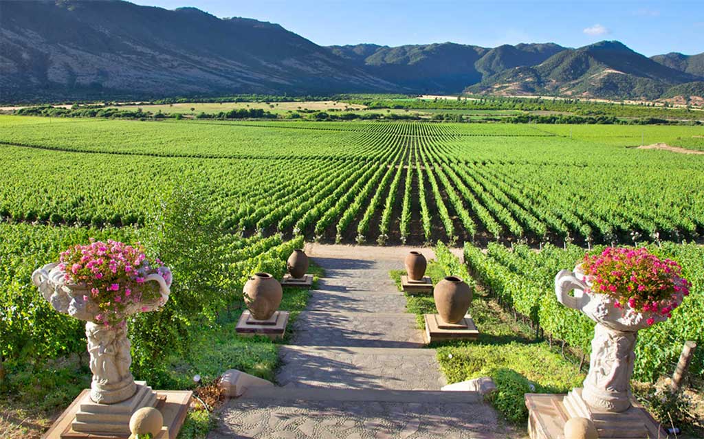 chile wine country tours