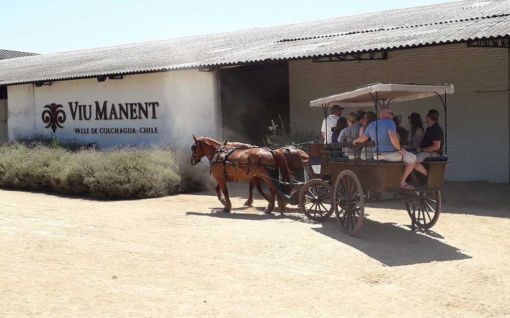Wine tasting tour with horse carriage ride at Viu Manent Vineyard