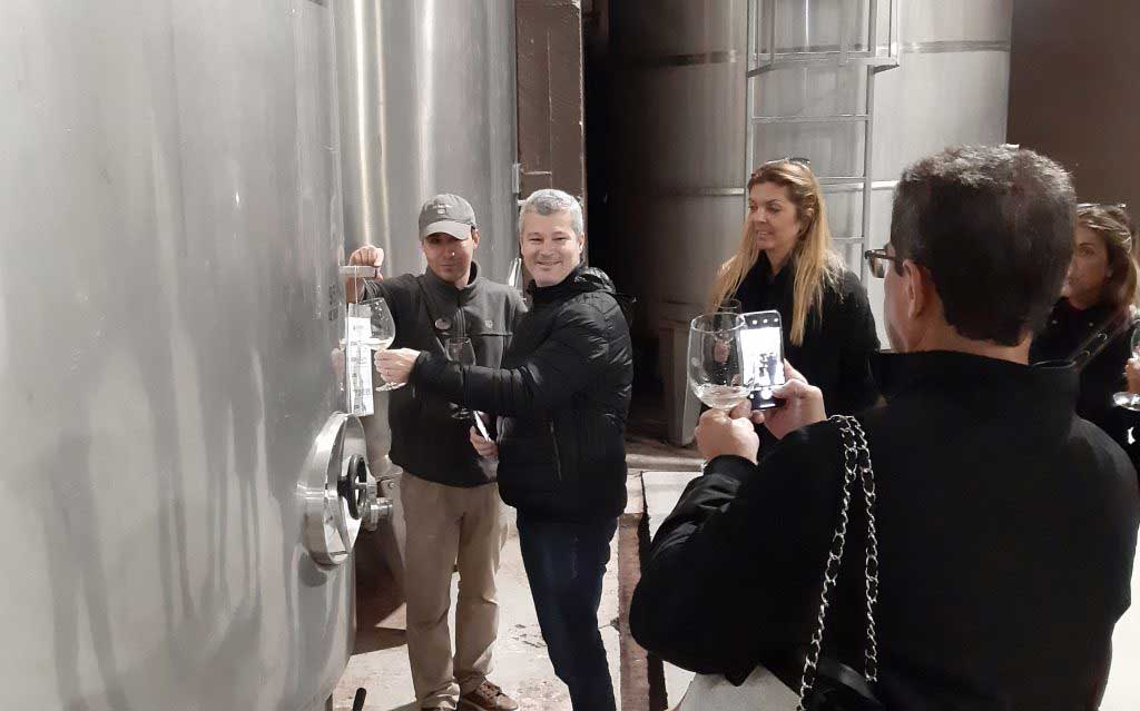 Wine tasting tour at Viu Manent Vineyard