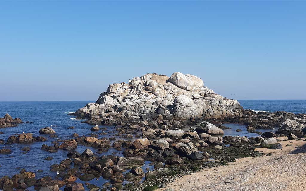 Rocky coast in Reñaca