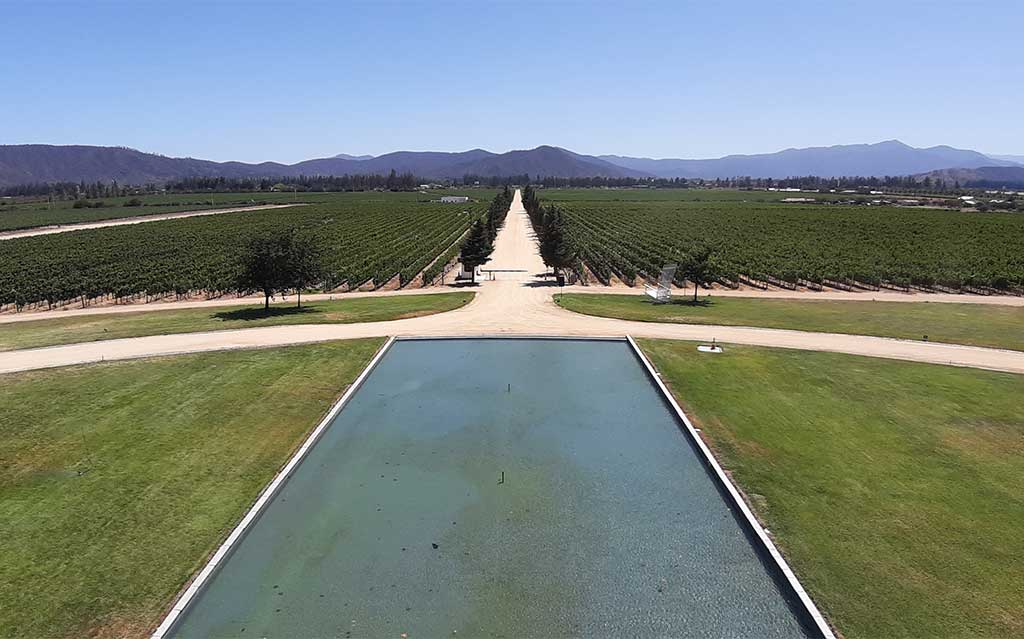 Reflecting pool at Viñamar Vineyard