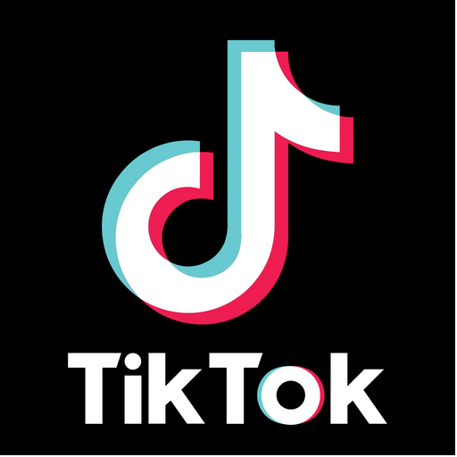 Tik Tok Logo