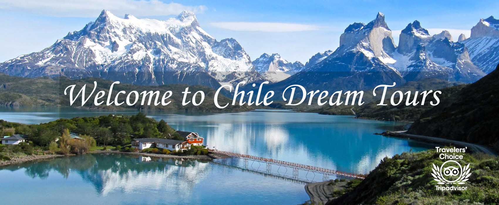 tour companies chile