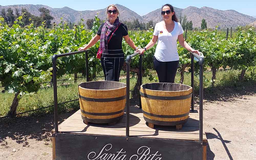 2023 Santa Rita Winery Premium Tour provided by Vina Santa Rita