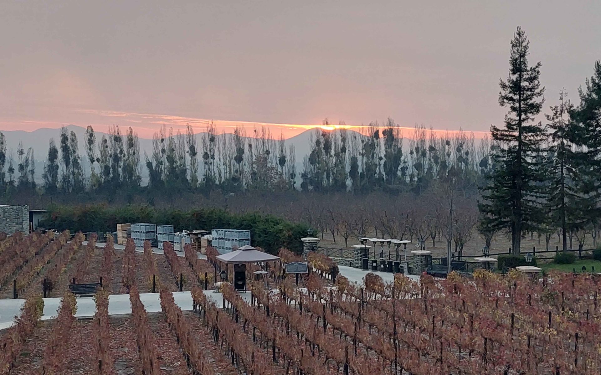 Alyan Sunset Experience