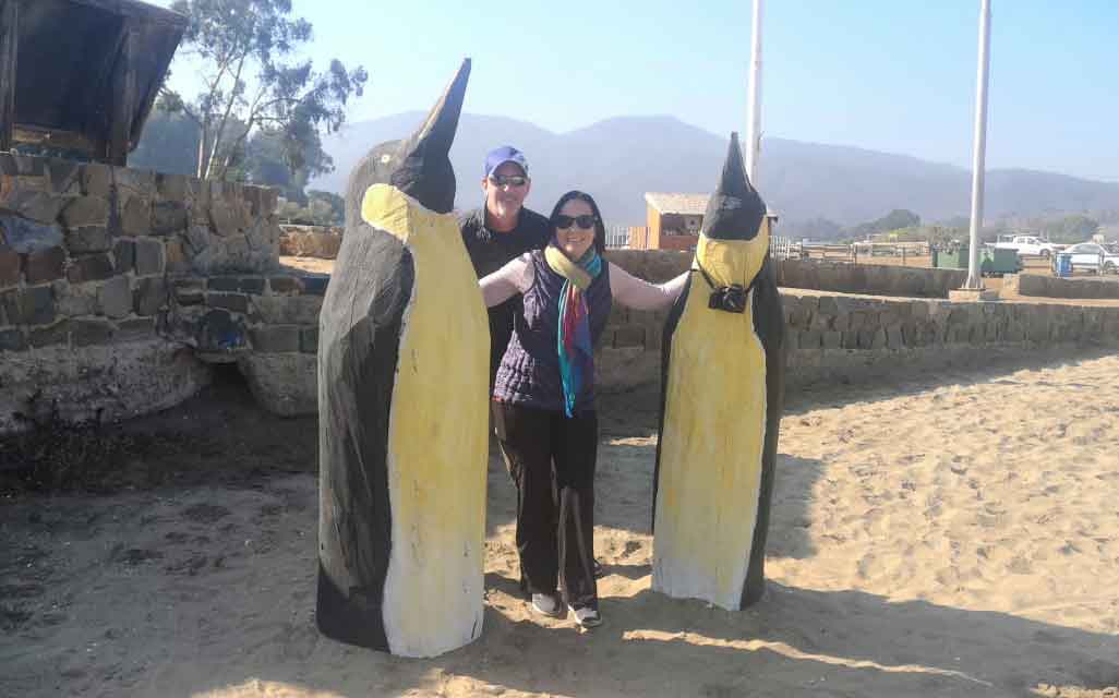 Penguins
