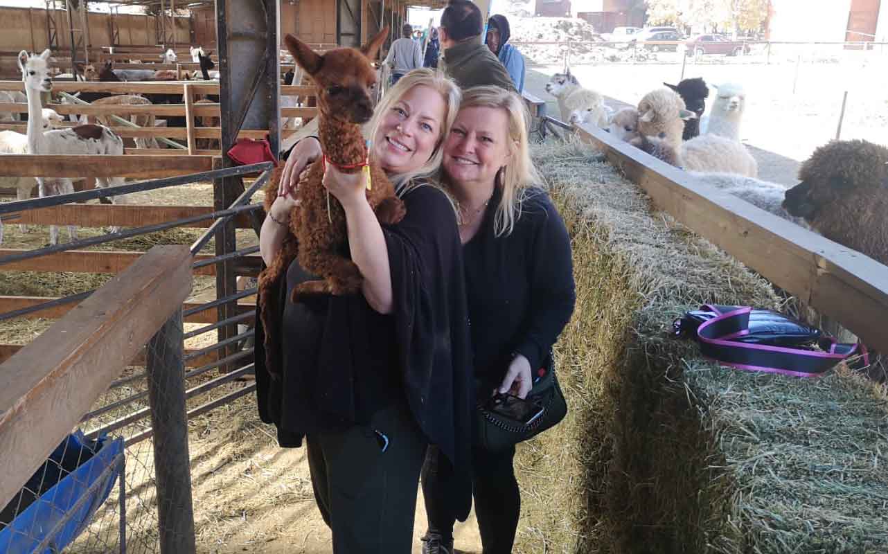 World Of Alpacas Tour | Chile Dream Tours | #1 Private Tours In Chile