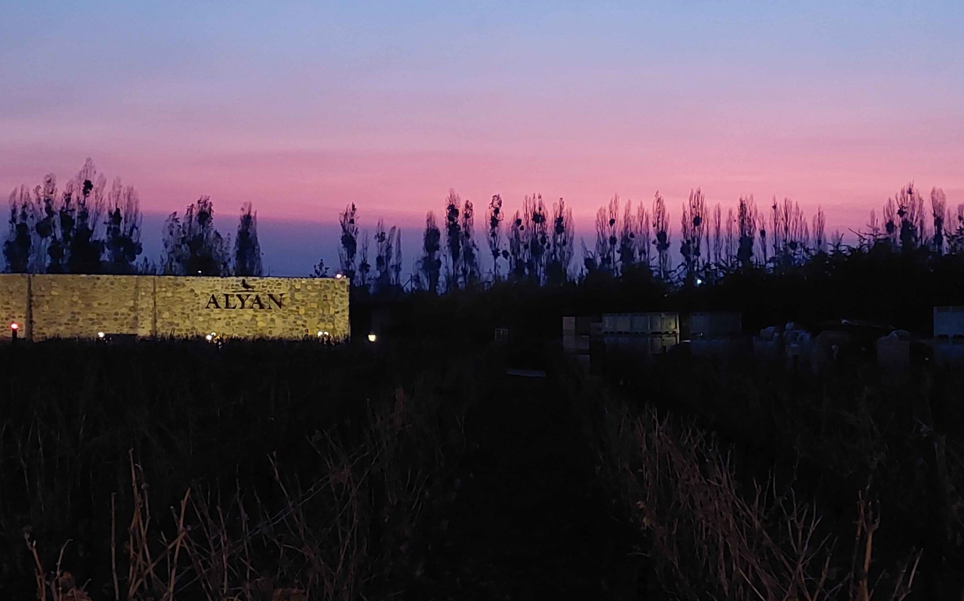 Alyan Sunset Experience