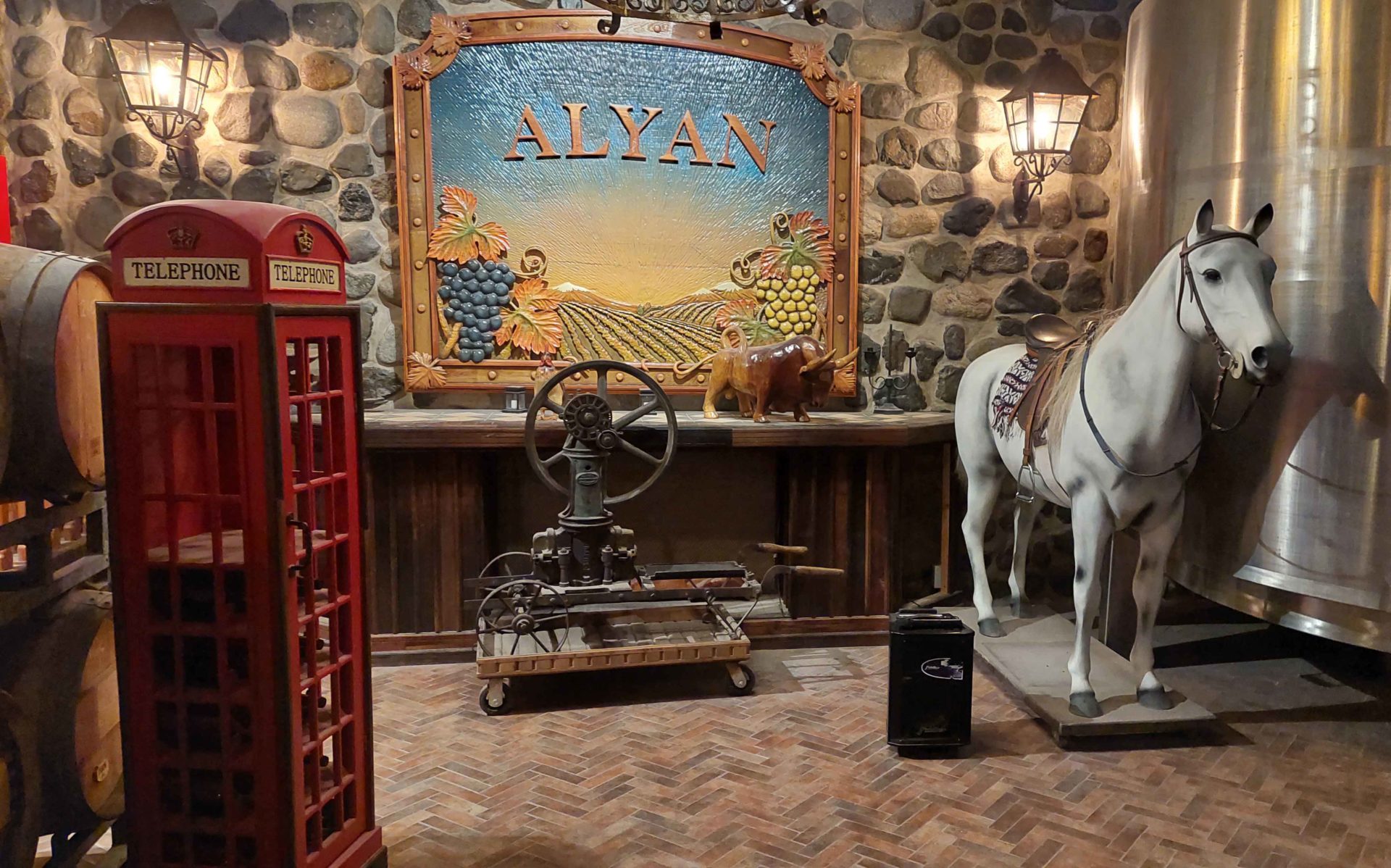 Alyan Sunset Experience