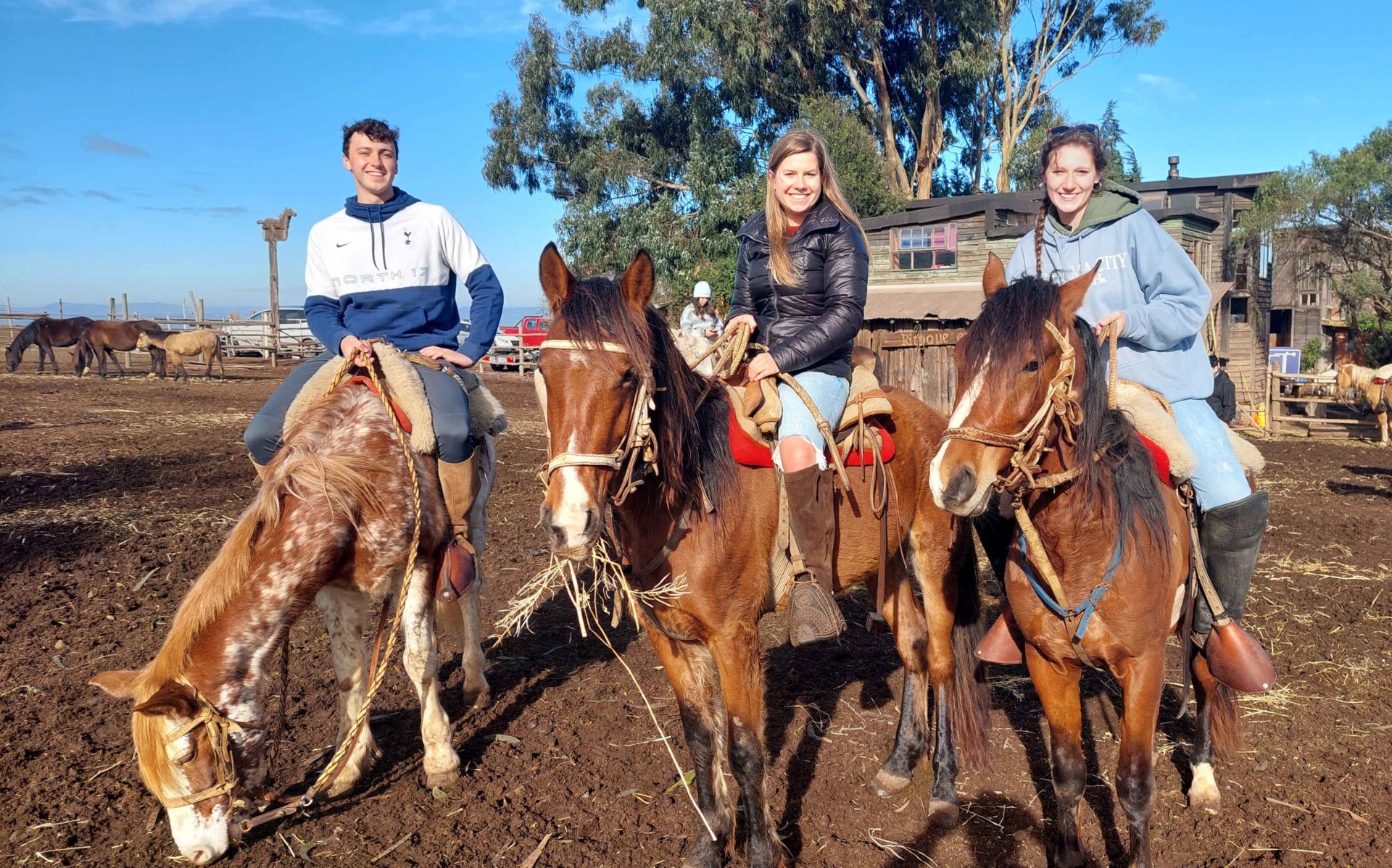 Beach Horseback Riding