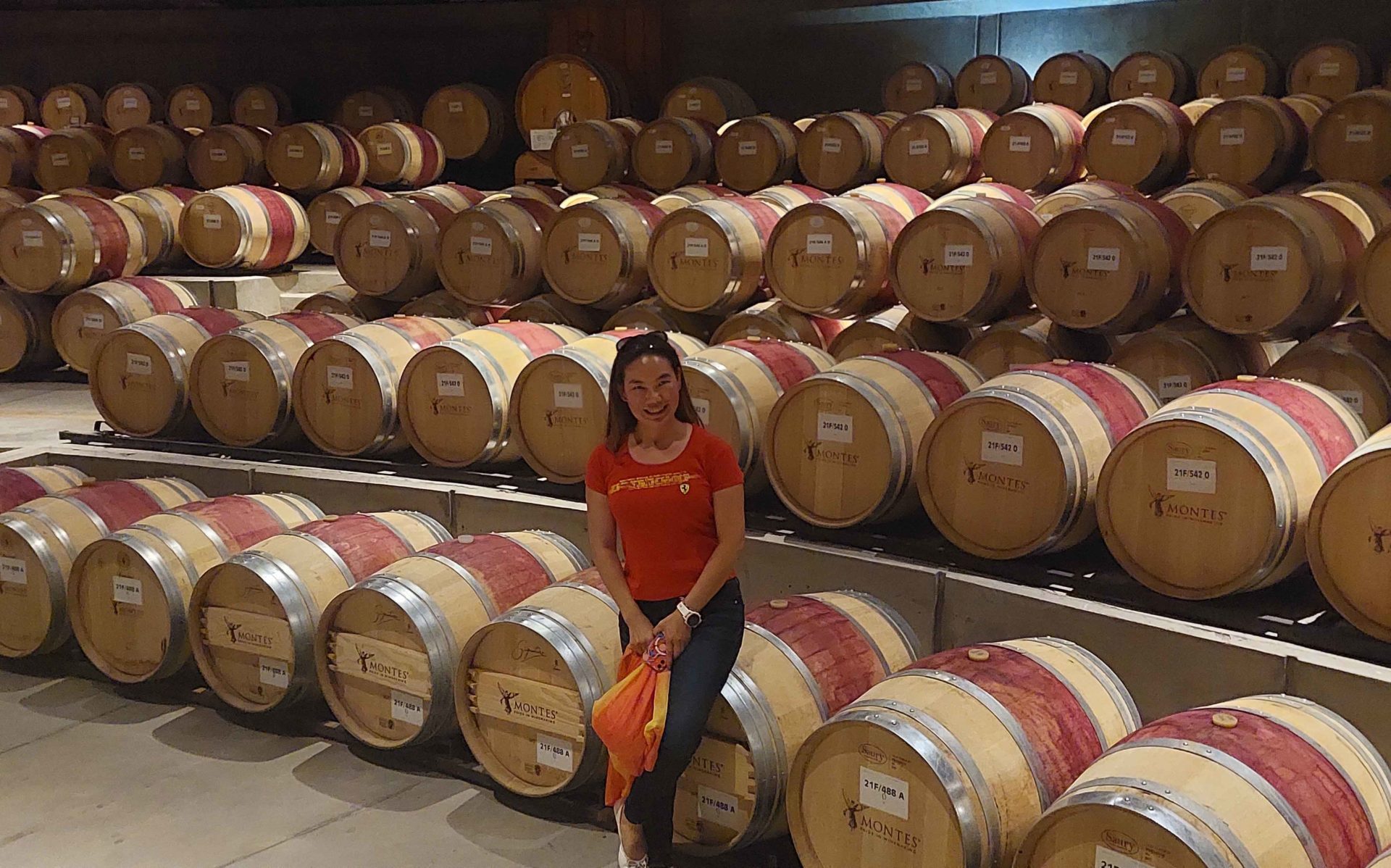 Montes Vineyard