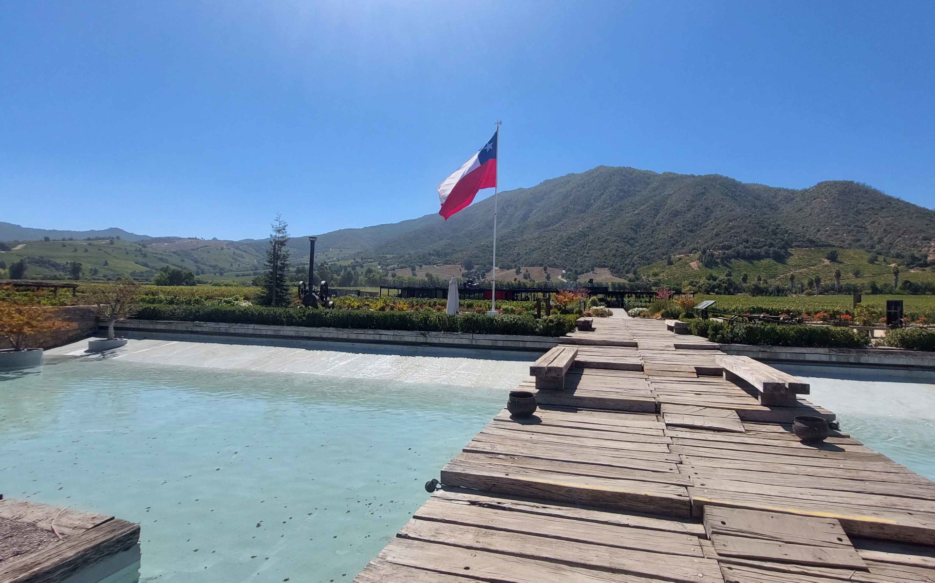 Montes Vineyard