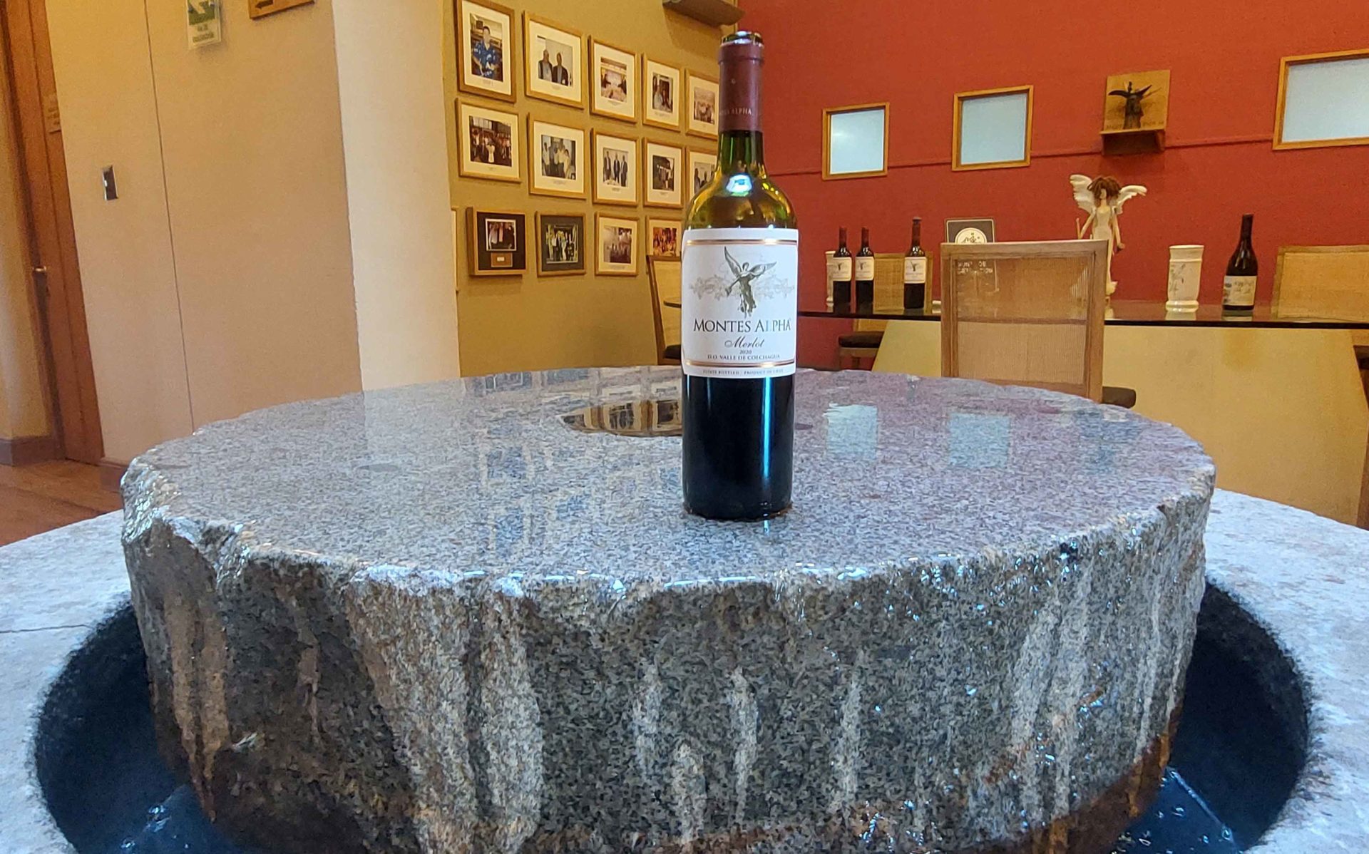 Montes Vineyard
