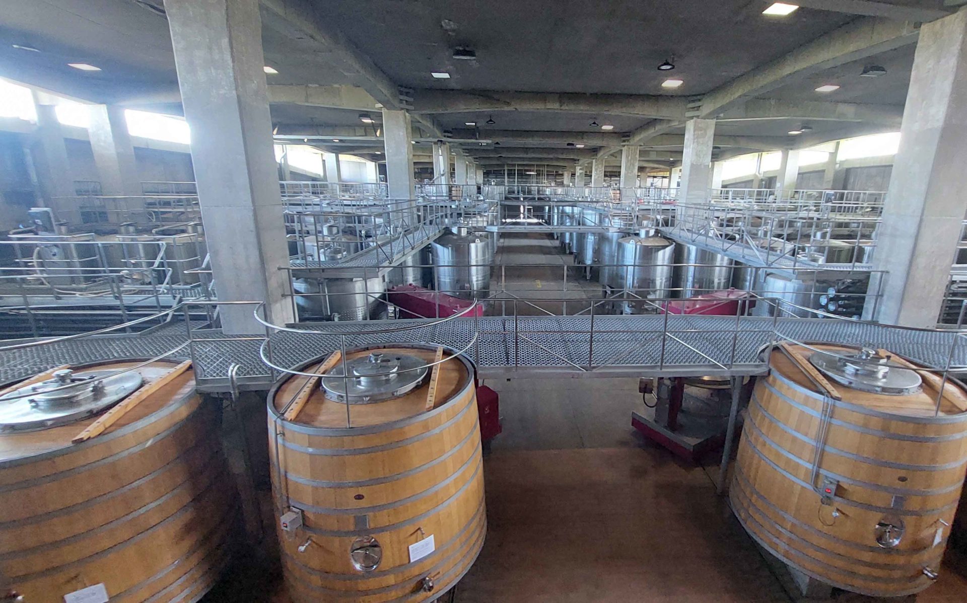 Montes Vineyard
