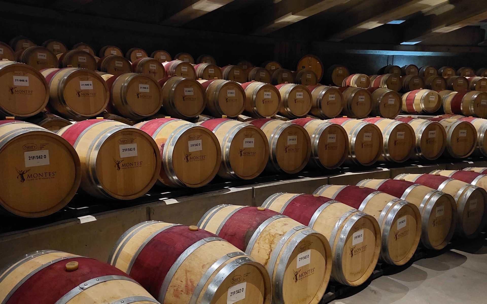 Montes Vineyard