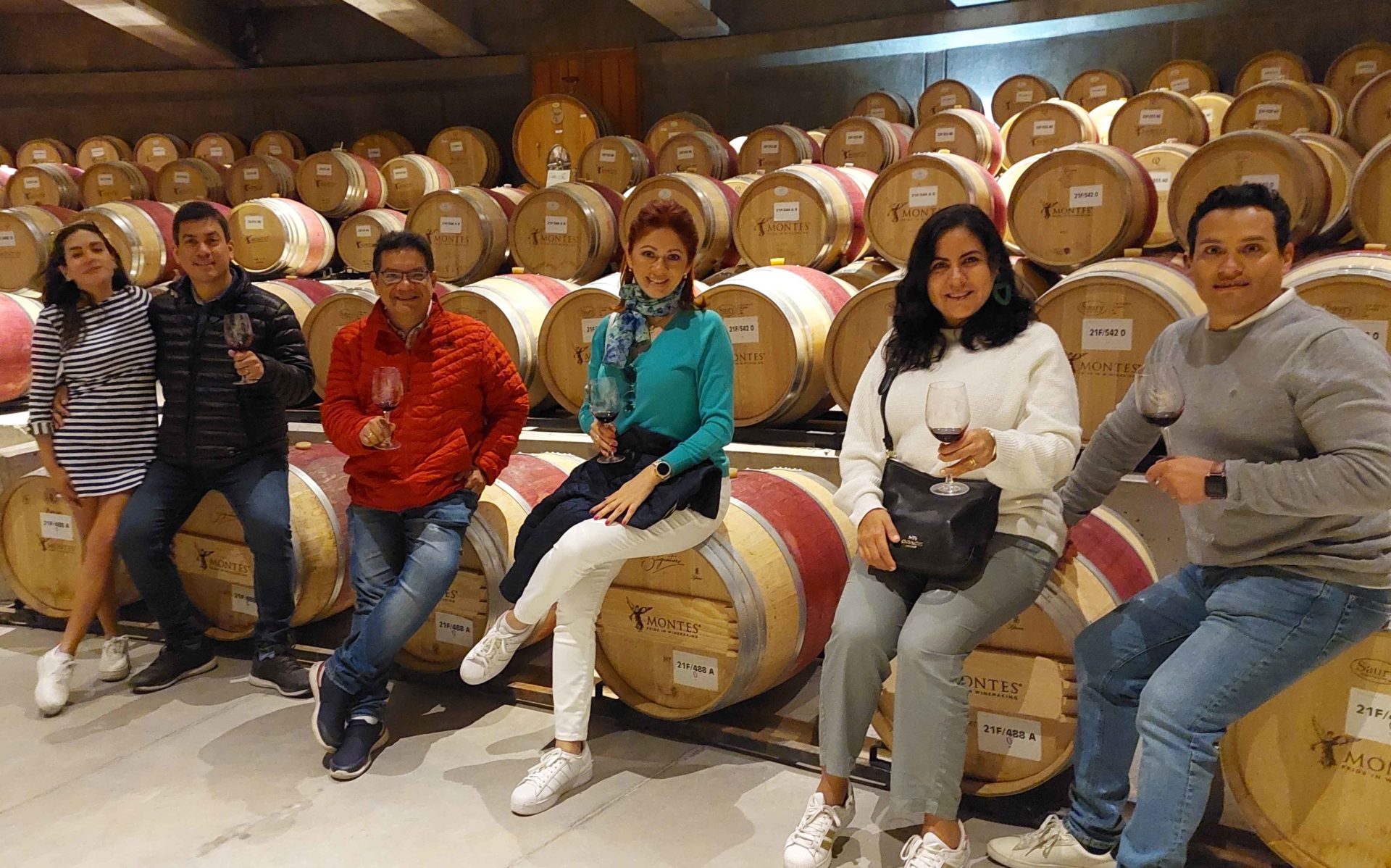Montes Vineyard