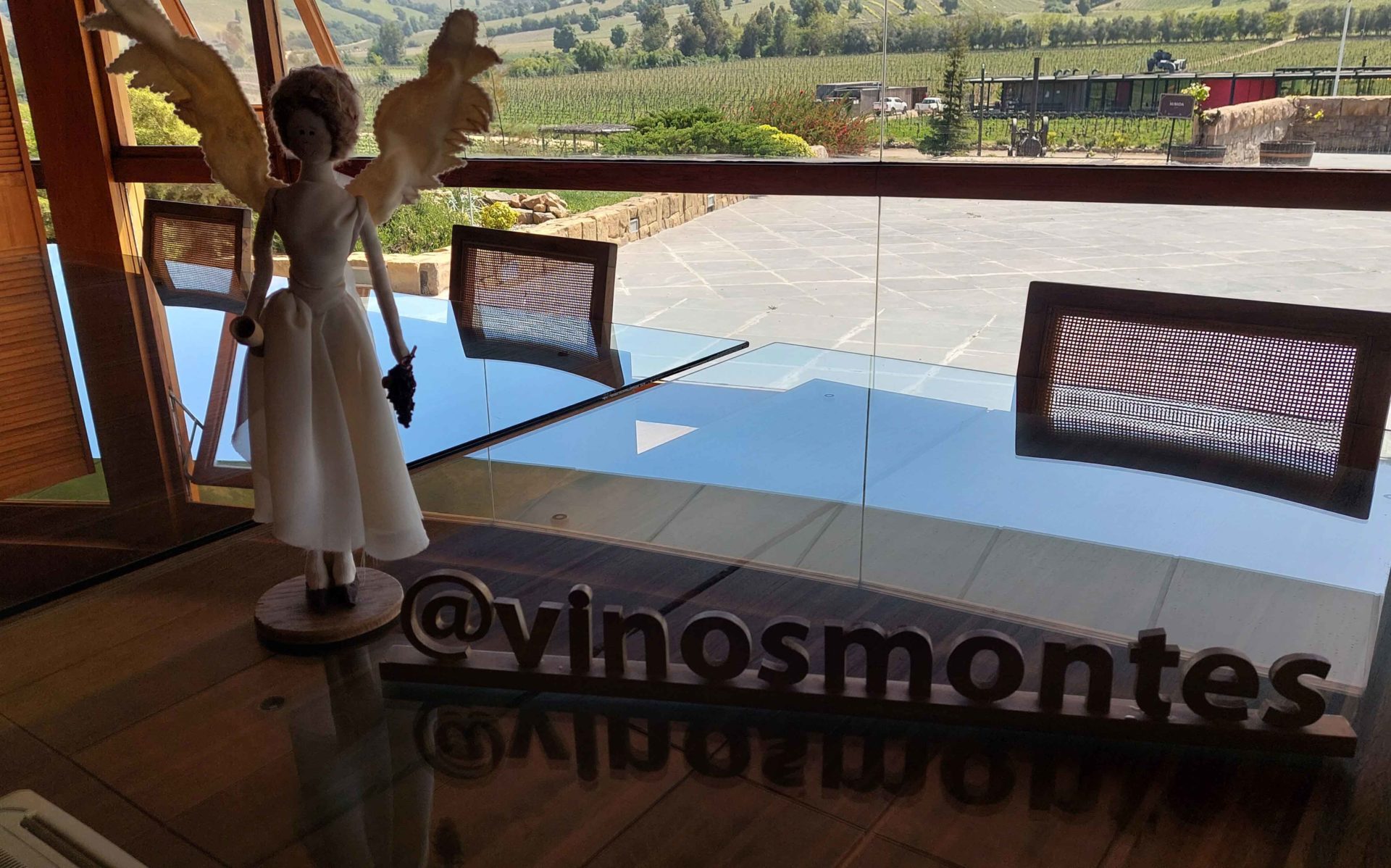 Montes Vineyard
