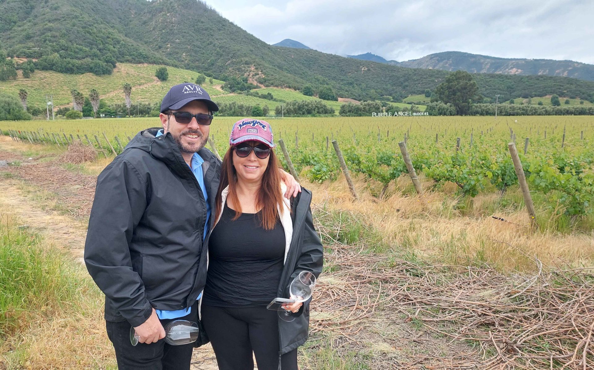Montes Vineyard