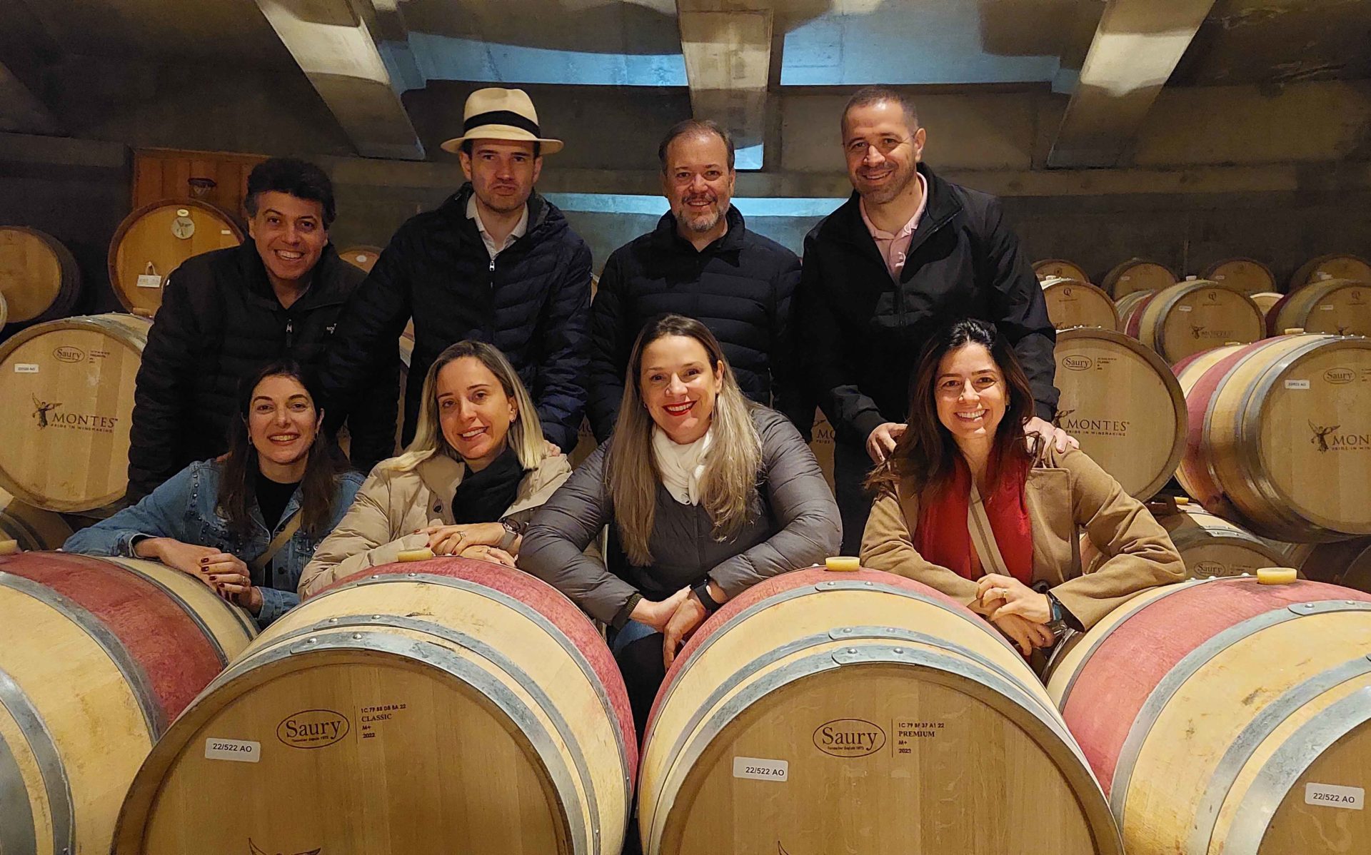Montes Vineyard