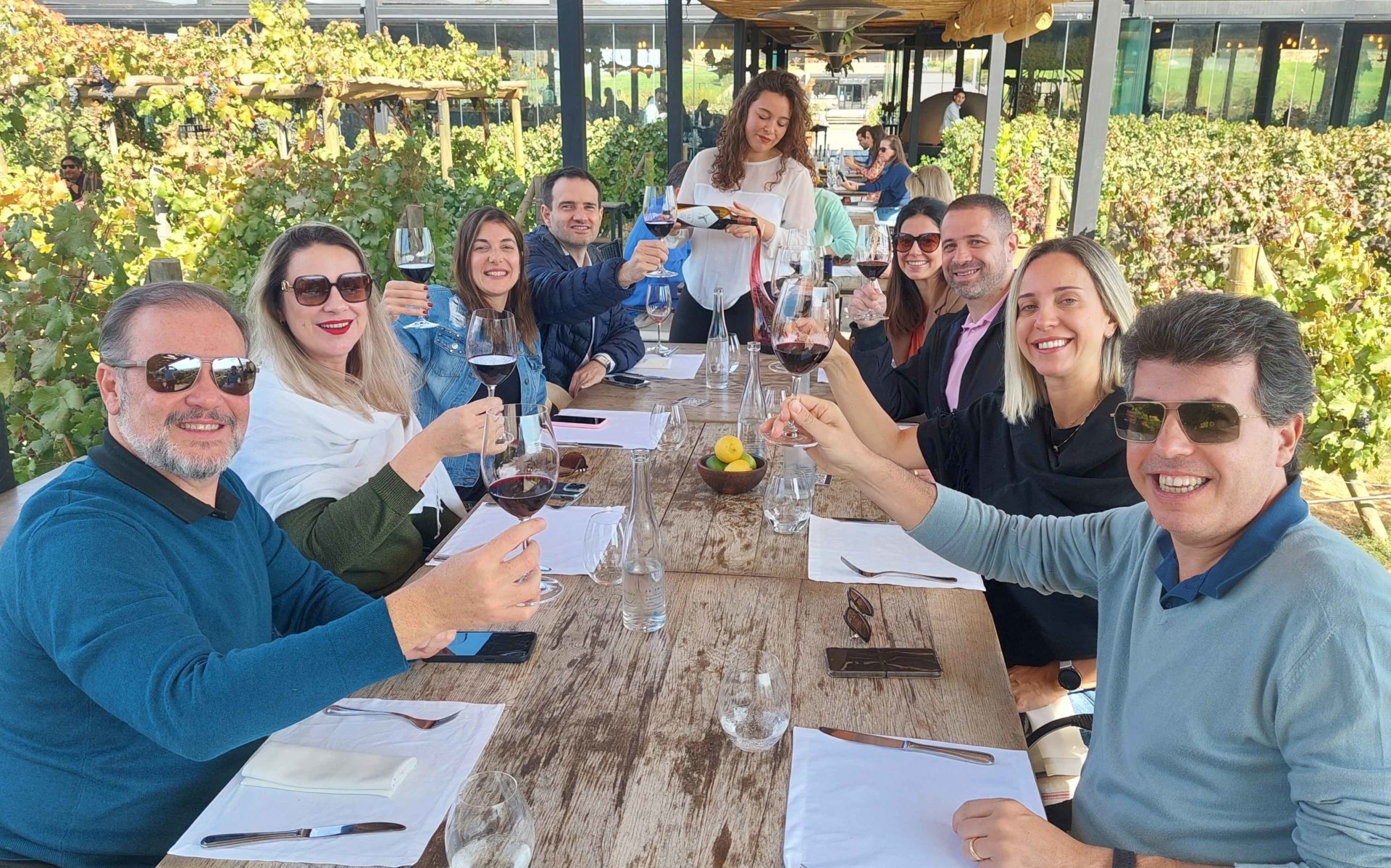 Montes Vineyard