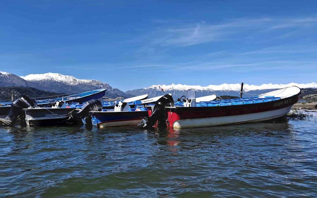 Patagonia