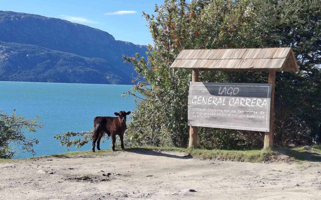 Patagonia