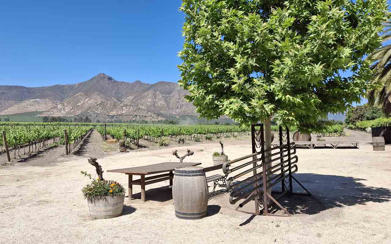 Vina Sanchez de Loria