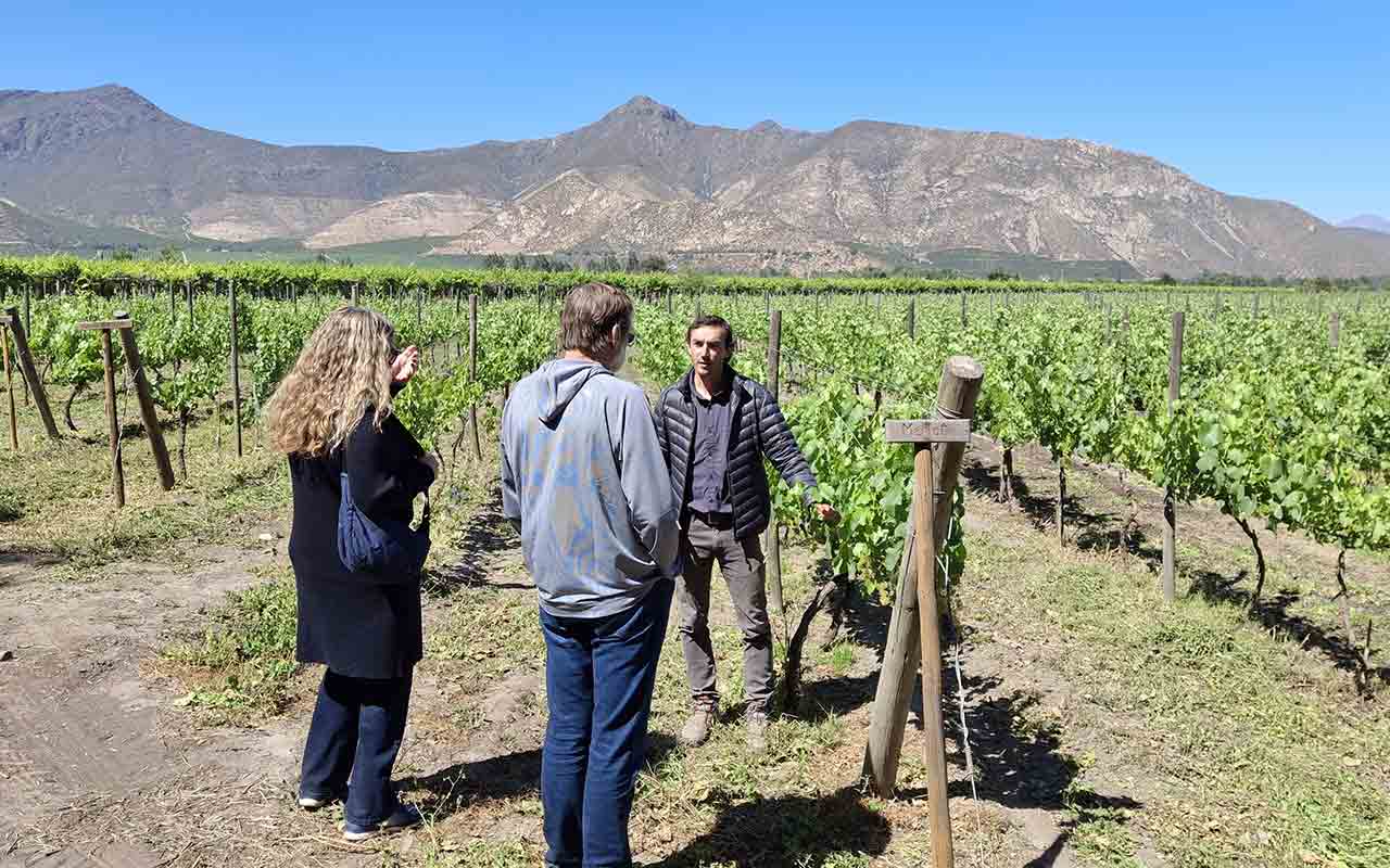 Vina Sanchez de Loria