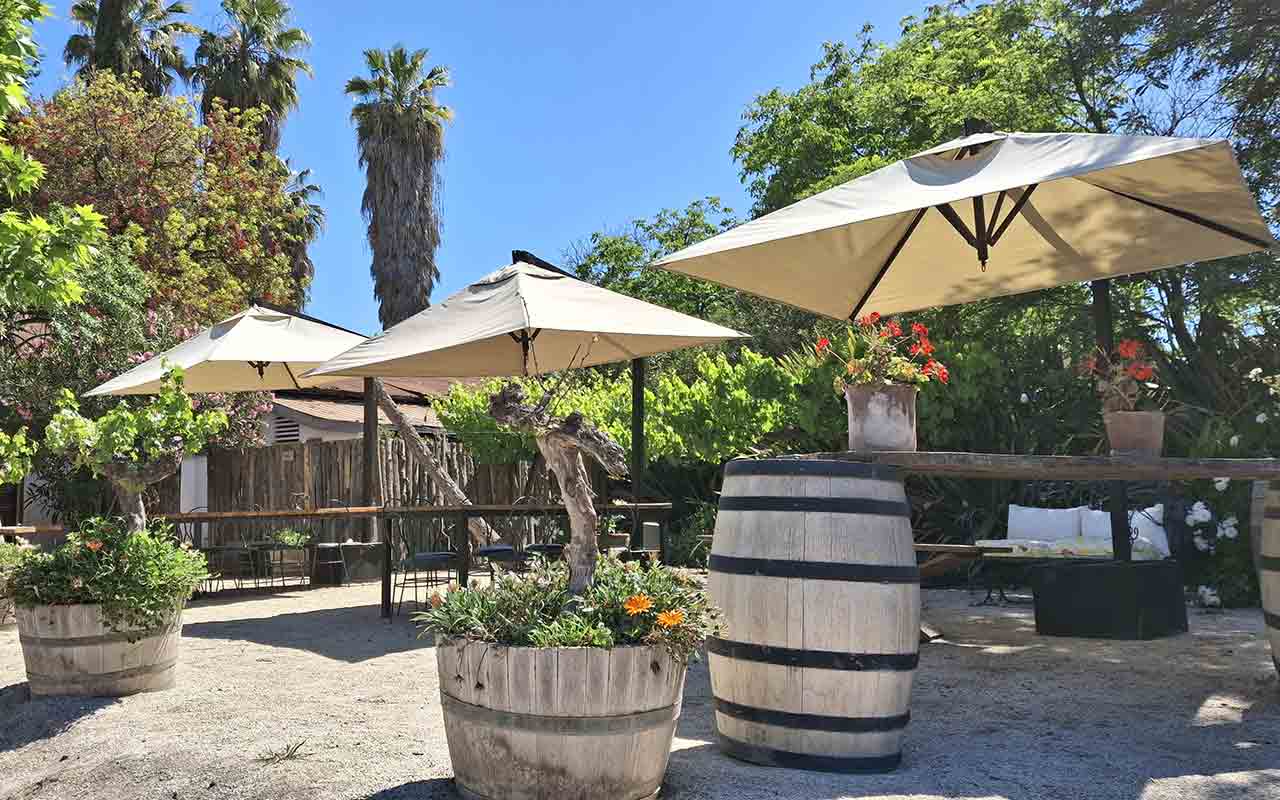 Vina Sanchez de Loria