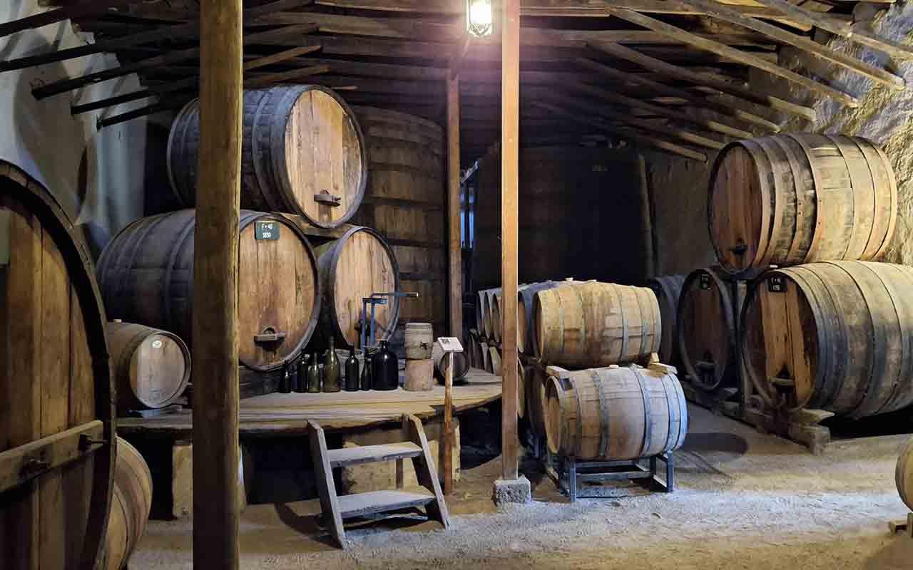 Vina Sanchez de Loria