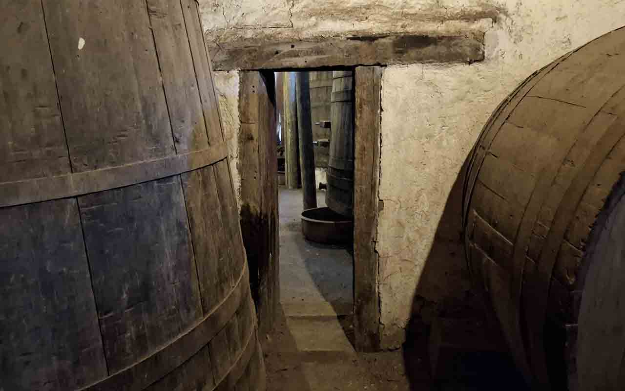 Vina Sanchez de Loria