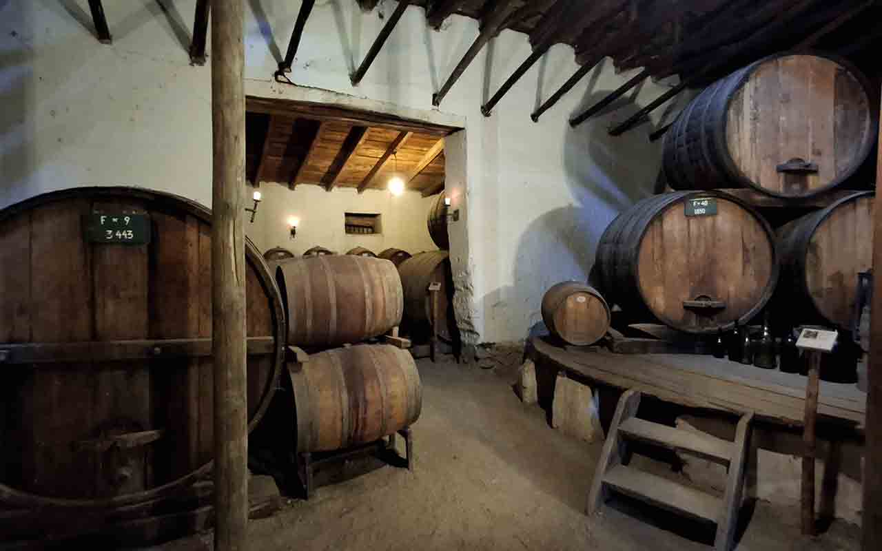 Vina Sanchez de Loria