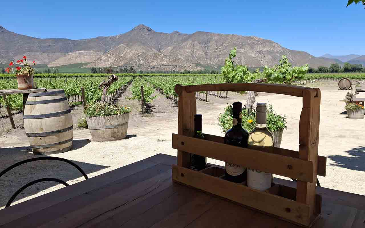 Vina Sanchez de Loria