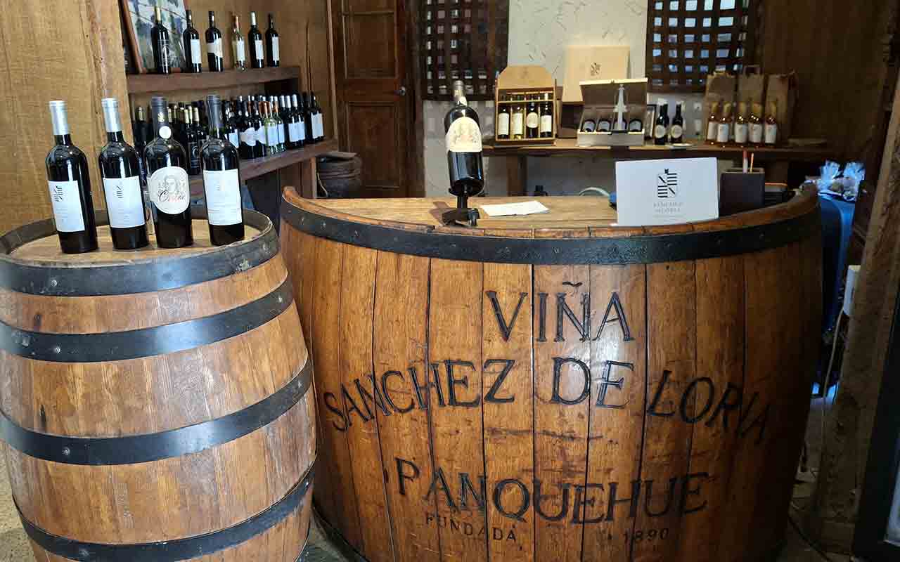 Vina Sanchez de Loria